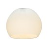 Foto para Globetrotter Frosted Glass Shade