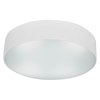 Picture of 52w (2 x 26) TomTom G24q-3 Quad Fluorescent Damp Location White Frosted Flush-Mount