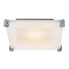 Picture of 100w Lithium R7s J-118 Halogen Damp Location Brushed Steel Frosted Flush-Mount (CAN 1.4")