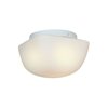 Picture of 100w Vega E-26 A-19 Incandescent Damp Location White Opal Flush-Mount