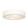 Picture of 120w (2 x 60) Altum E-26 A-19 Incandescent Damp Location White Opal Flush-Mount (CAN 1"Ø10")