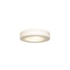 Picture of 120w (2 x 60) Altum E-26 A-19 Incandescent Damp Location White Opal Flush-Mount (CAN 1"Ø10")