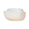 Picture of 120w (2 x 60) Vega E-26 A-19 Incandescent Damp Location White Opal Flush-Mount