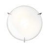 Foto para 120w (2 x 60) Zenon E-26 A-19 Incandescent Damp Location Brushed Steel Opal Flush-Mount