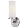 Picture of 13w Aqueous GU-24 Spiral Fluorescent Damp Location Brushed Steel Opal Wall Fixture (CAN 5"x5"x0.88")