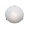 Picture of 150w Nimbus R7s J-118 Halogen Damp Location Chrome Frosted Flush-Mount 4"Ø12.5"