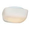 Picture of 180w (3 x 60) Vega E-26 A-19 Incandescent Damp Location White Opal Flush-Mount