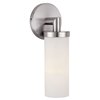 Picture of 60w Aqueous E-26 B-10 Incandescent Damp Location Brushed Steel Opal Wall Fixture (CAN 5"x5"x0.88")