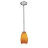 Picture of 100w Champagne Glass Pendant E-26 A-19 Incandescent Dry Location Brushed Steel Maya Glass 9"Ø5" (CAN 1.25"Ø5.25")