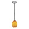 Foto para 100w Brandy FireBird Glass Pendant E-26 A-19 Incandescent Dry Location Brushed Steel Amber Firebird Glass 9"Ø6" (CAN 1.25"Ø5.25")