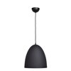 Foto para 60w 800lm Nostalgia E-26 Incandescent 1-Light Matte Black & Gold Pendant