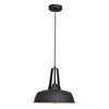 Picture of 60w 800lm 27k Nostalgia E-26 Incandescent Dry Location Matte Black Matte Gold 1-Light Pendant 11"Ø13.8" (OA HT 132")