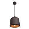 Picture of 60w 800lm 27k Nostalgia E-26 Incandescent Dry Location Matte Black Matte Gold 1-Light Pendant 10.5"Ø10" (OA HT 131")