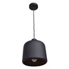 Picture of 60w 800lm 27k Nostalgia E-26 Incandescent Dry Location Matte Black Matte Gold 1-Light Pendant 10.5"Ø10" (OA HT 131")