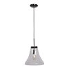 Picture of 60w 800lm 27k Simplicite E-26 Incandescent Dry Location Black Chrome Clear 1-Light Bell Glass Pendant (OA HT 131") (CAN 1.5"Ø5.13")