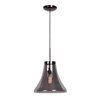 Foto para 60w 800lm 27k Simplicite E-26 Incandescent Dry Location Black Chrome Smoke 1-Light Bell Glass Pendant (OA HT 131") (CAN 1.5"Ø5.13")