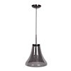 Picture of 60w 800lm 27k Simplicite E-26 Incandescent Dry Location Black Chrome Smoke 1-Light Bell Glass Pendant (OA HT 131") (CAN 1.5"Ø5.13")