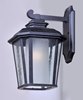 Foto para Radcliffe EE 1-Light Small Outdoor Wall BO Seedy/Frosted GU24 Fluorescent Fluorescent