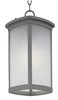 Picture of Terrace EE 1-Light Outdoor Hanging Lantern PL Frosted Seedy GU24 Fluorescent