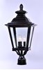 Foto para Knoxville 3-Light Outdoor Post BZ Clear Glass CA Incandescent E12 Incandescent