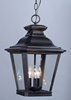 Picture of Knoxville 3-Light Outdoor Pendant BZ Clear Glass CA Incandescent E12 60 (OA HT 21.25"-91.75") (CAN 5"x5"x1.25")36" Chain