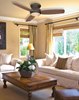 Picture of 139.8w SW Flush Mount Ceiling Fan Belcaro Walnut Aged Champagne