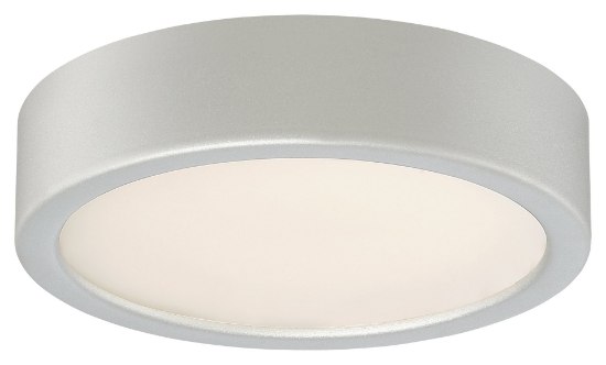 Foto para 12w WW Flush Mount Silver Clear Glass