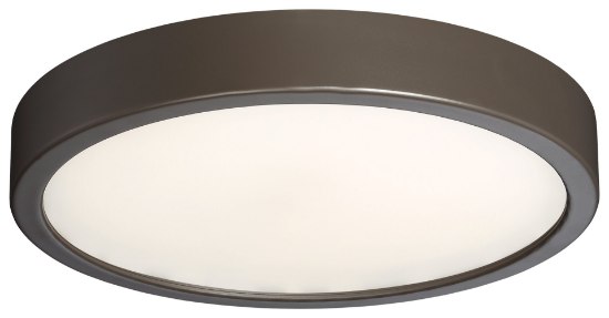 Foto para 25w WW Flush Mount Painted Copper Bronze Patina Clear Glass