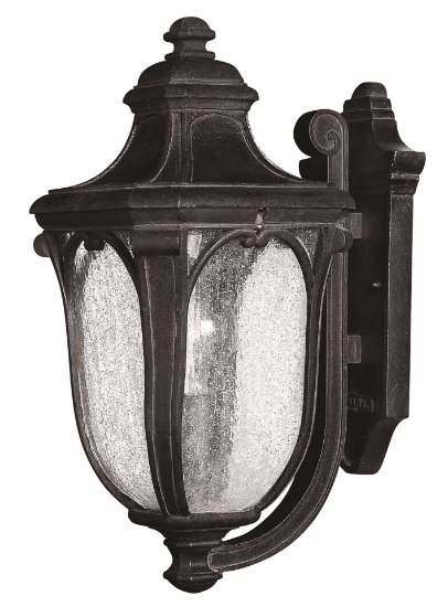 Picture of 75w Outdoor Trafalgar MED Clear Seedy Museum Black Medium Wall Mount