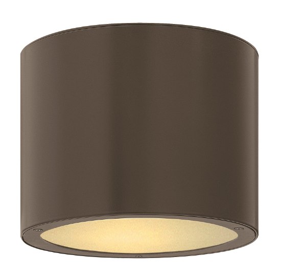 Foto para 75w Outdoor Luna MED Etched Glass Lens Bronze Flush Mount