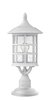 Picture of 15w Outdoor Freeport LED Clear Seedy Classic White Post Top/ Pier Mount