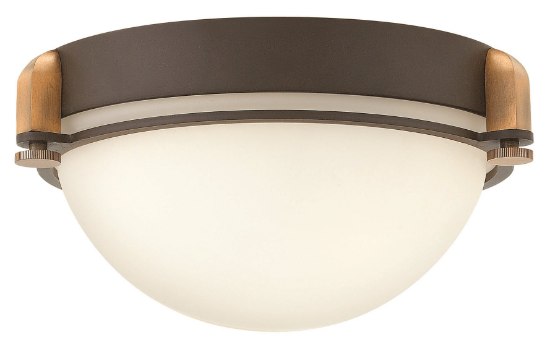 Picture of 60w Foyer Logan MED Etched Opal Buckeye Bronze Flush Mount