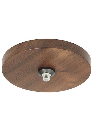 Picture of 75w Fusion Bronze Fusion Jack Canopy 4" Round Flush Wood WA bz 120/1