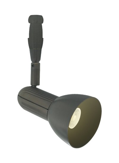 Picture of 6w Swing Bronze Swing Head BZ 25° 3 LED FSJ