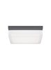 Picture of 12w Boxie 30k Charcoal 90cri Boxie Small Outdoor Wall/Ceiling  Small 80 CRI 300