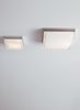 Picture of 20w Boxie Chrome Boxie Ceiling Large, ch-LED3-277