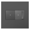 Foto para adorne Plastics Magnesium 2-Gang Wall Plate