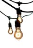 Picture of 48' (14.6m) 15-Light Nostalgic Spiral A19 E26 Kit Incandescent Outdoor/Indoor String Light