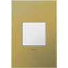 Picture of adorne Cast Metals Brushed Brass 1-Gang 2-Module Wall Plate