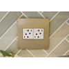 Foto para adorne Cast Metals Brushed Brass 2-Gang Wall Plate