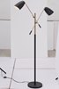 Foto para 80w (2 x 40w) Tanner Matte Black & Brass E12 G50 2-Light Floor Lamp