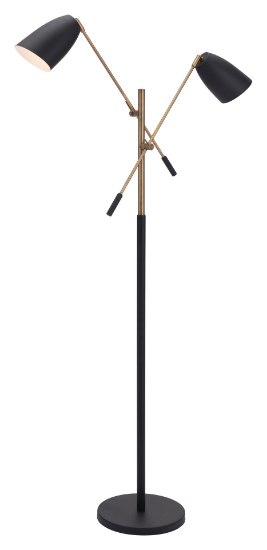 Foto para 80w (2 x 40w) Tanner Matte Black & Brass E12 G50 2-Light Floor Lamp