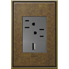 Foto para adorne Cast Metals Aged Brass 1-Gang+ 3 Module Wall Plate