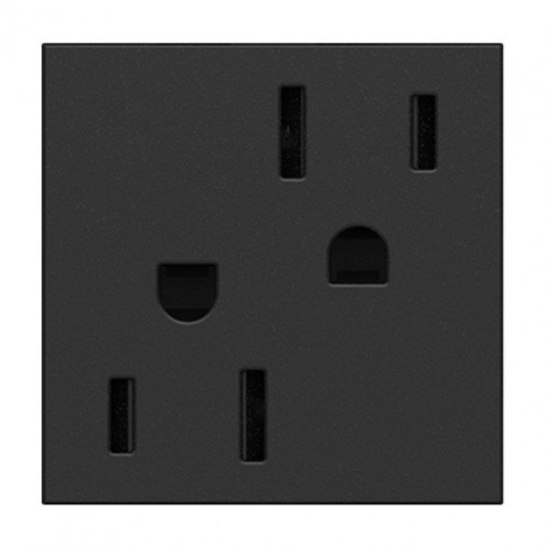 Picture of 15a adorne Graphite 2-Module Tamper Resistant Duplex Outlet