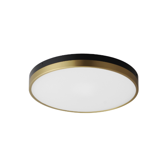 Foto para 16" Dapper Black and Antique Brass LED Flush Mount