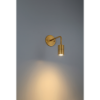 Picture of 2.50" Cafe Antique Brushed Brass Dim LED Sconce